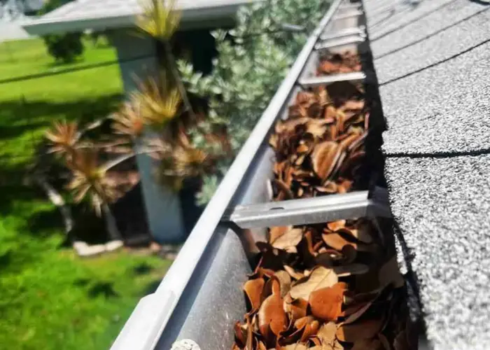 Chester gutter cleaning home page